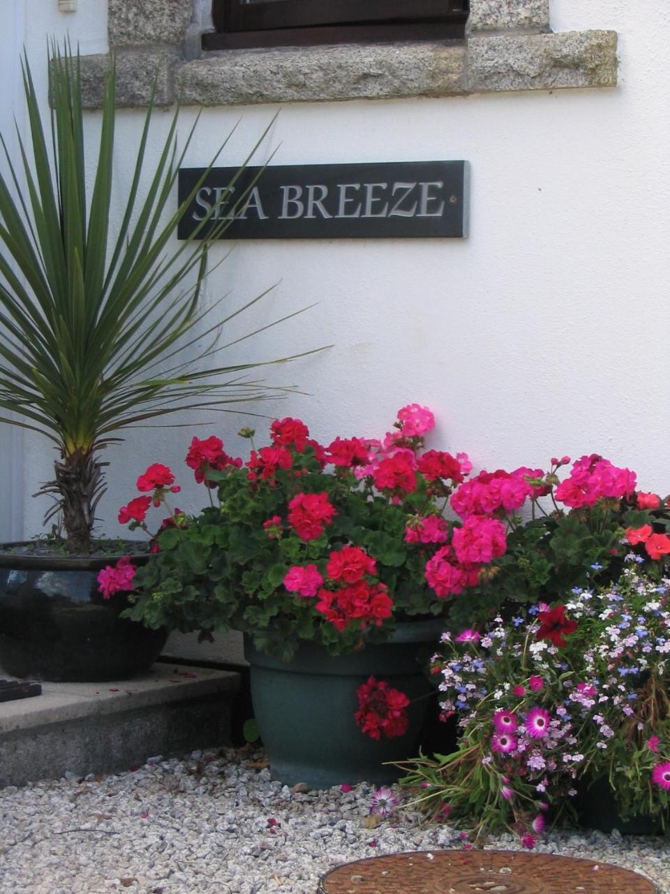 Bed and Breakfast Sea Breeze St Ives Exteriér fotografie